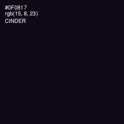 #0F0817 - Cinder Color Image