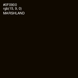 #0F0900 - Marshland Color Image