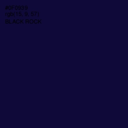 #0F0939 - Black Rock Color Image