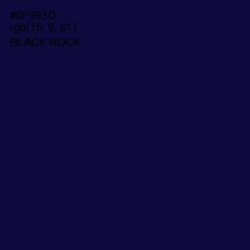 #0F093D - Black Rock Color Image