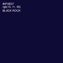 #0F0B37 - Black Rock Color Image