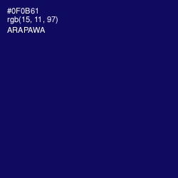 #0F0B61 - Arapawa Color Image