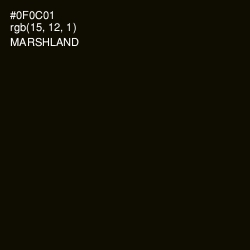 #0F0C01 - Marshland Color Image