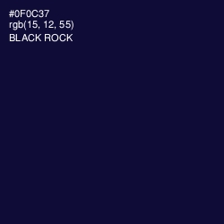#0F0C37 - Black Rock Color Image