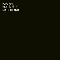 #0F0F01 - Marshland Color Image