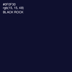 #0F0F30 - Black Rock Color Image