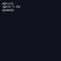 #0F111D - Bunker Color Image