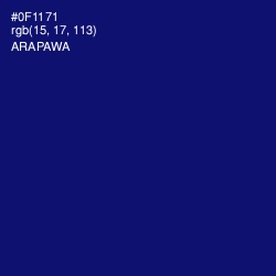 #0F1171 - Arapawa Color Image