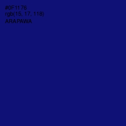 #0F1176 - Arapawa Color Image