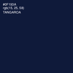#0F193A - Tangaroa Color Image