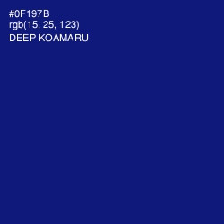 #0F197B - Deep Koamaru Color Image