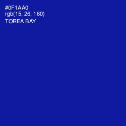 #0F1AA0 - Torea Bay Color Image