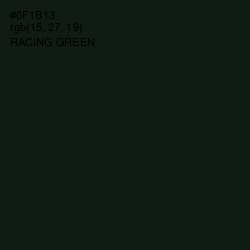 #0F1B13 - Racing Green Color Image