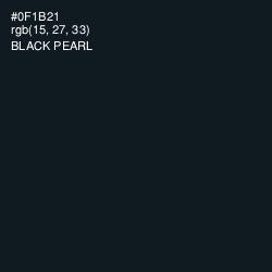 #0F1B21 - Black Pearl Color Image