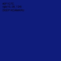 #0F1C7C - Deep Koamaru Color Image