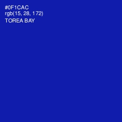 #0F1CAC - Torea Bay Color Image