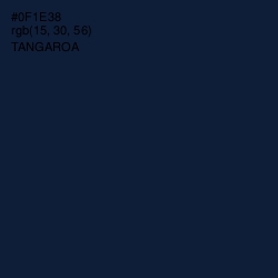 #0F1E38 - Tangaroa Color Image