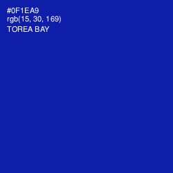 #0F1EA9 - Torea Bay Color Image