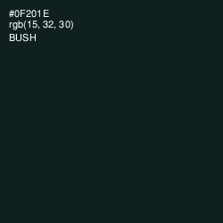 #0F201E - Bush Color Image