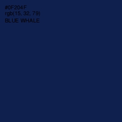 #0F204F - Blue Whale Color Image