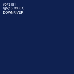 #0F2151 - Downriver Color Image