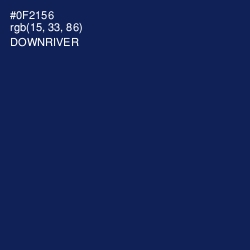 #0F2156 - Downriver Color Image