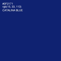 #0F2171 - Catalina Blue Color Image