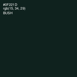 #0F221D - Bush Color Image