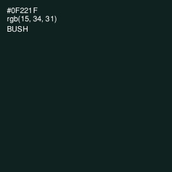 #0F221F - Bush Color Image