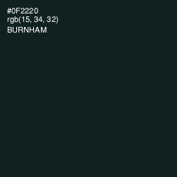 #0F2220 - Burnham Color Image