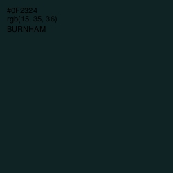 #0F2324 - Burnham Color Image