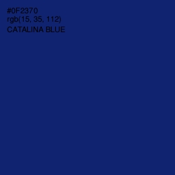 #0F2370 - Catalina Blue Color Image