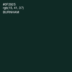 #0F2925 - Burnham Color Image