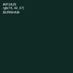 #0F2A25 - Burnham Color Image