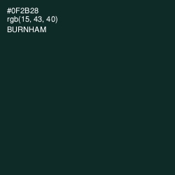 #0F2B28 - Burnham Color Image