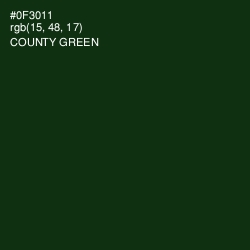 #0F3011 - County Green Color Image