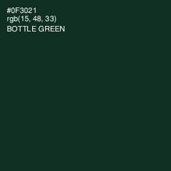 #0F3021 - Bottle Green Color Image