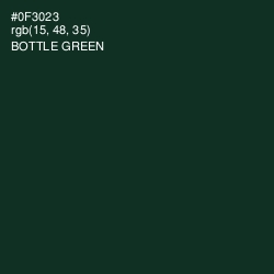 #0F3023 - Bottle Green Color Image