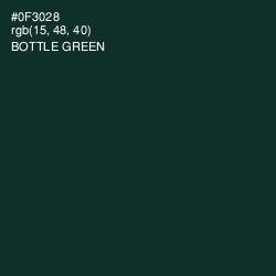 #0F3028 - Bottle Green Color Image