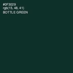 #0F3029 - Bottle Green Color Image