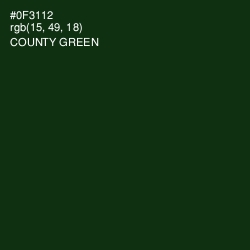 #0F3112 - County Green Color Image