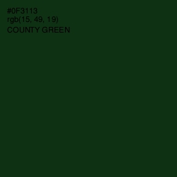 #0F3113 - County Green Color Image