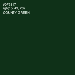 #0F3117 - County Green Color Image