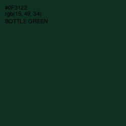 #0F3122 - Bottle Green Color Image