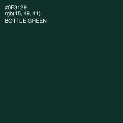 #0F3129 - Bottle Green Color Image
