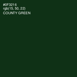 #0F3216 - County Green Color Image