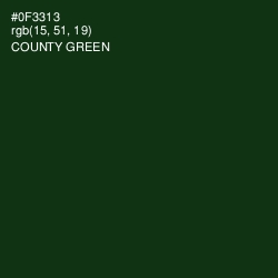 #0F3313 - County Green Color Image