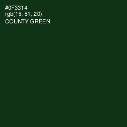 #0F3314 - County Green Color Image