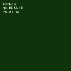 #0F340B - Palm Leaf Color Image