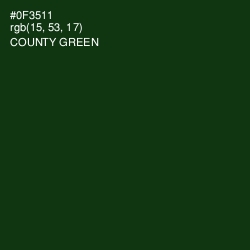 #0F3511 - County Green Color Image